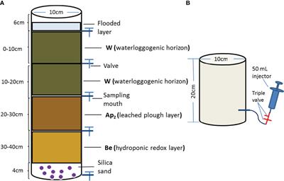 Biochar Amendments Facilitate Methane Production by Regulating the Abundances of Methanogens and Methanotrophs in Flooded Paddy Soil